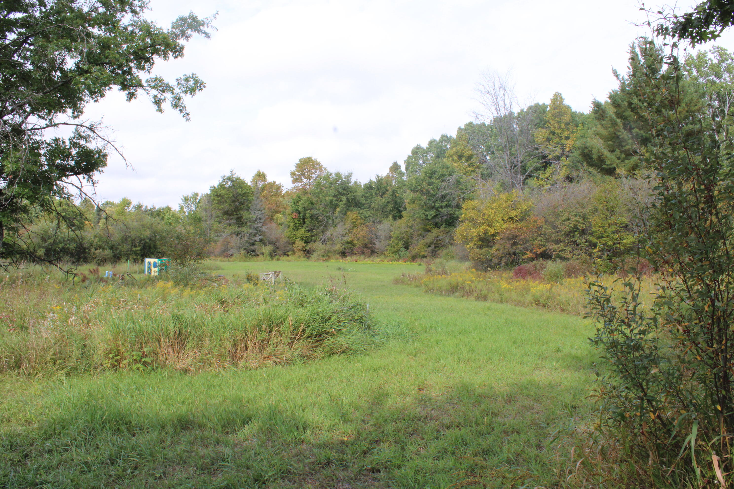 -vl Chase Bridge Road Roscommon, MI 48653 - Photo 12 of 24 IMG_4992