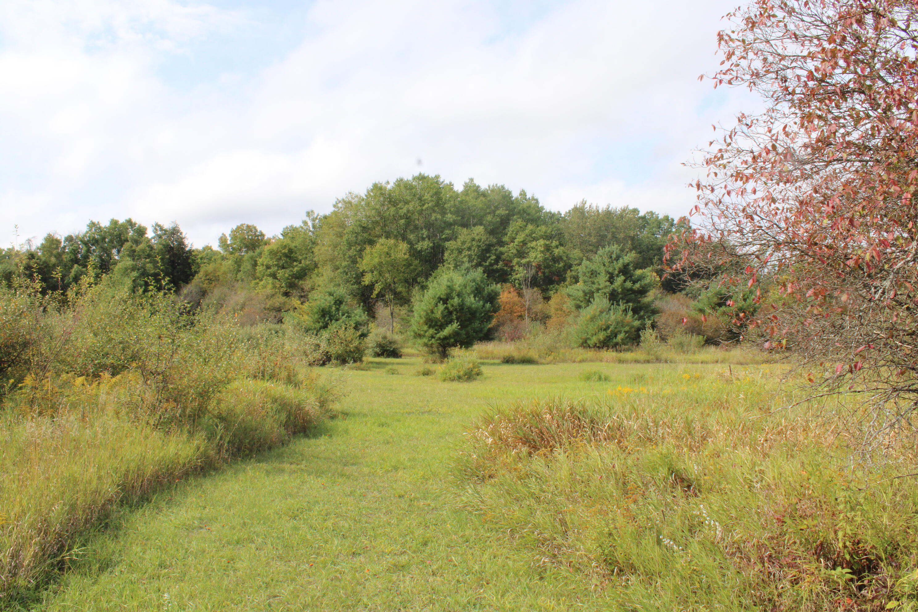 -vl Chase Bridge Road Roscommon, MI 48653 - Photo 14 of 24 IMG_4995