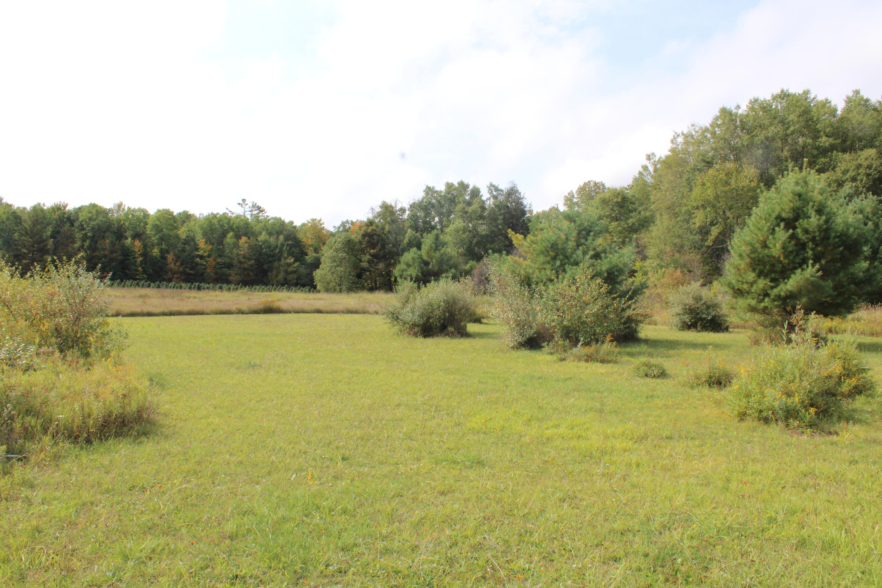 -vl Chase Bridge Road Roscommon, MI 48653 - Photo 15 of 24 IMG_4996