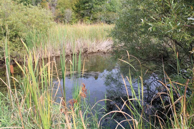 $70,000 | -vl Chase Bridge Road, Roscommon, MI 48653