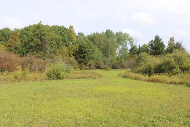 $70,000 | -vl Chase Bridge Road, Roscommon, MI 48653