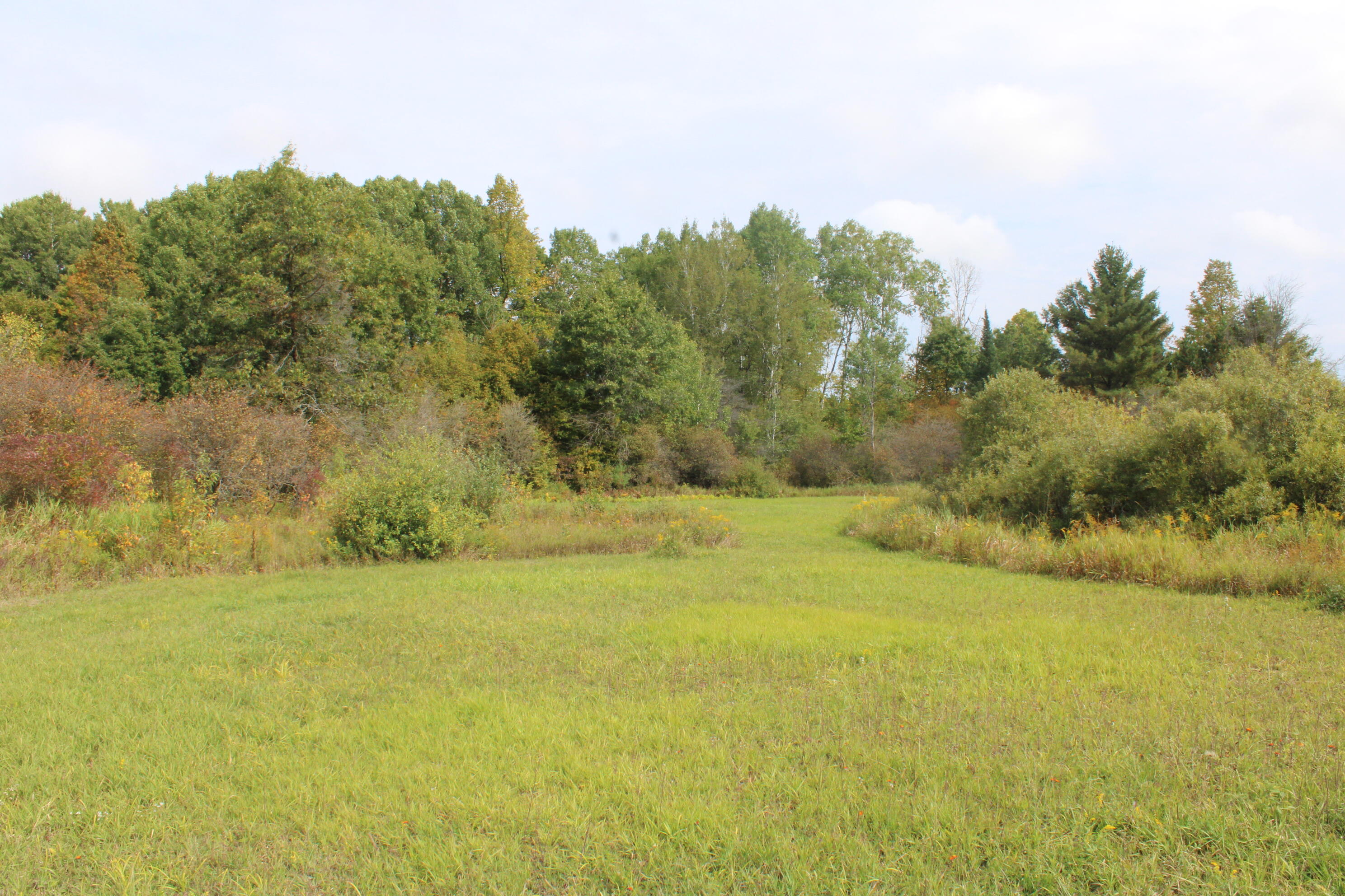 -vl Chase Bridge Road Roscommon, MI 48653 - Photo 17 of 24 IMG_4999