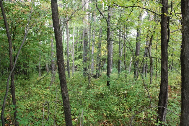 $70,000 | -vl Chase Bridge Road, Roscommon, MI 48653