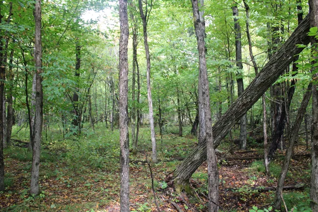 $70,000 | -vl Chase Bridge Road, Roscommon, MI 48653