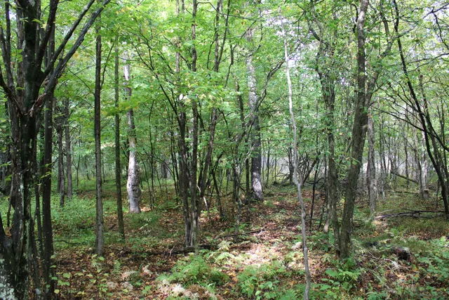 $70,000 | -vl Chase Bridge Road, Roscommon, MI 48653