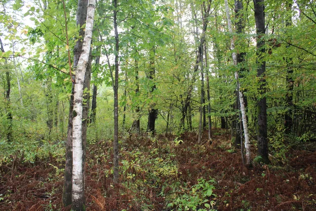 $70,000 | -vl Chase Bridge Road, Roscommon, MI 48653