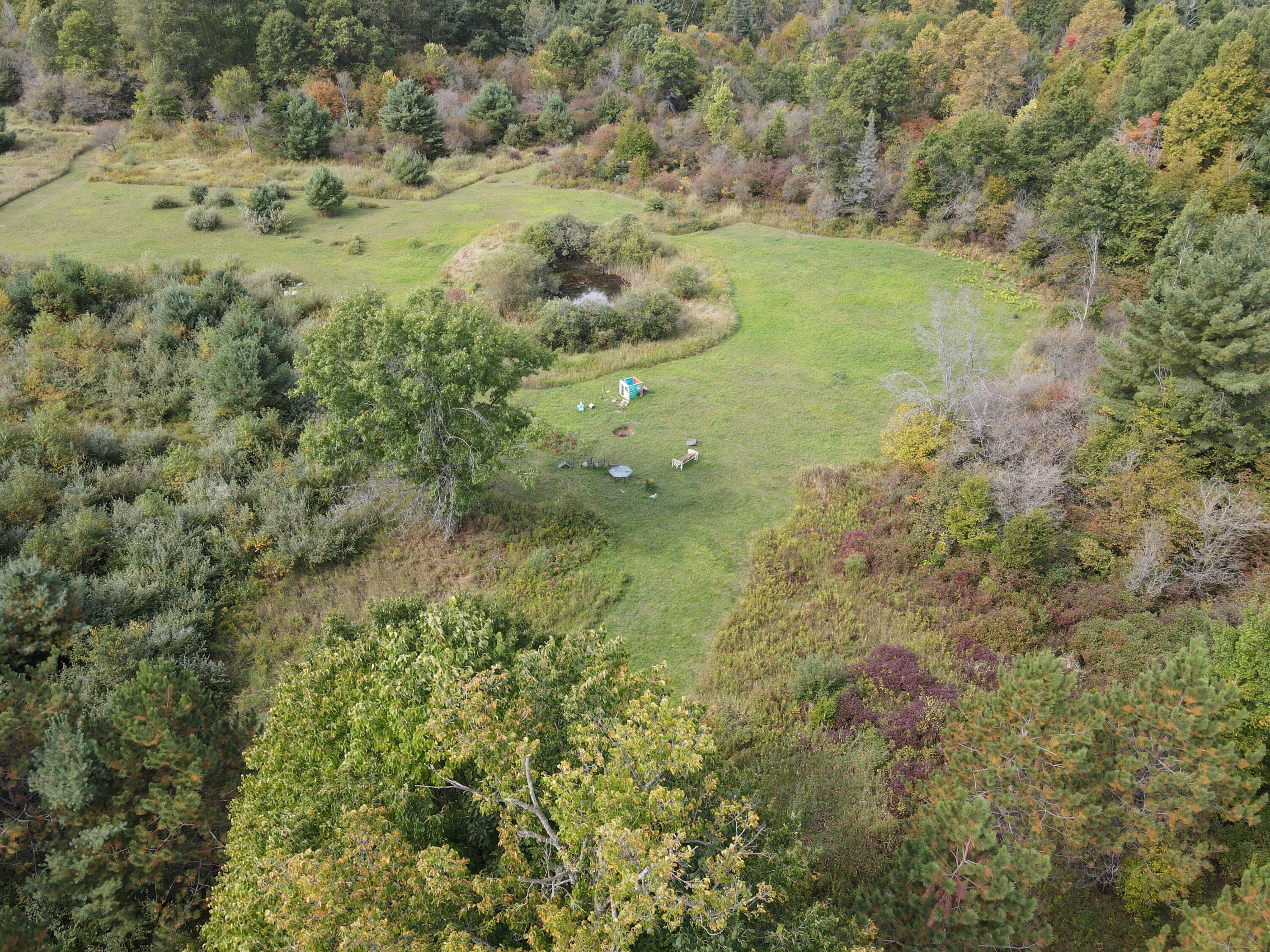 -vl Chase Bridge Road Roscommon, MI 48653 - Photo 3 of 24 DJI_0658