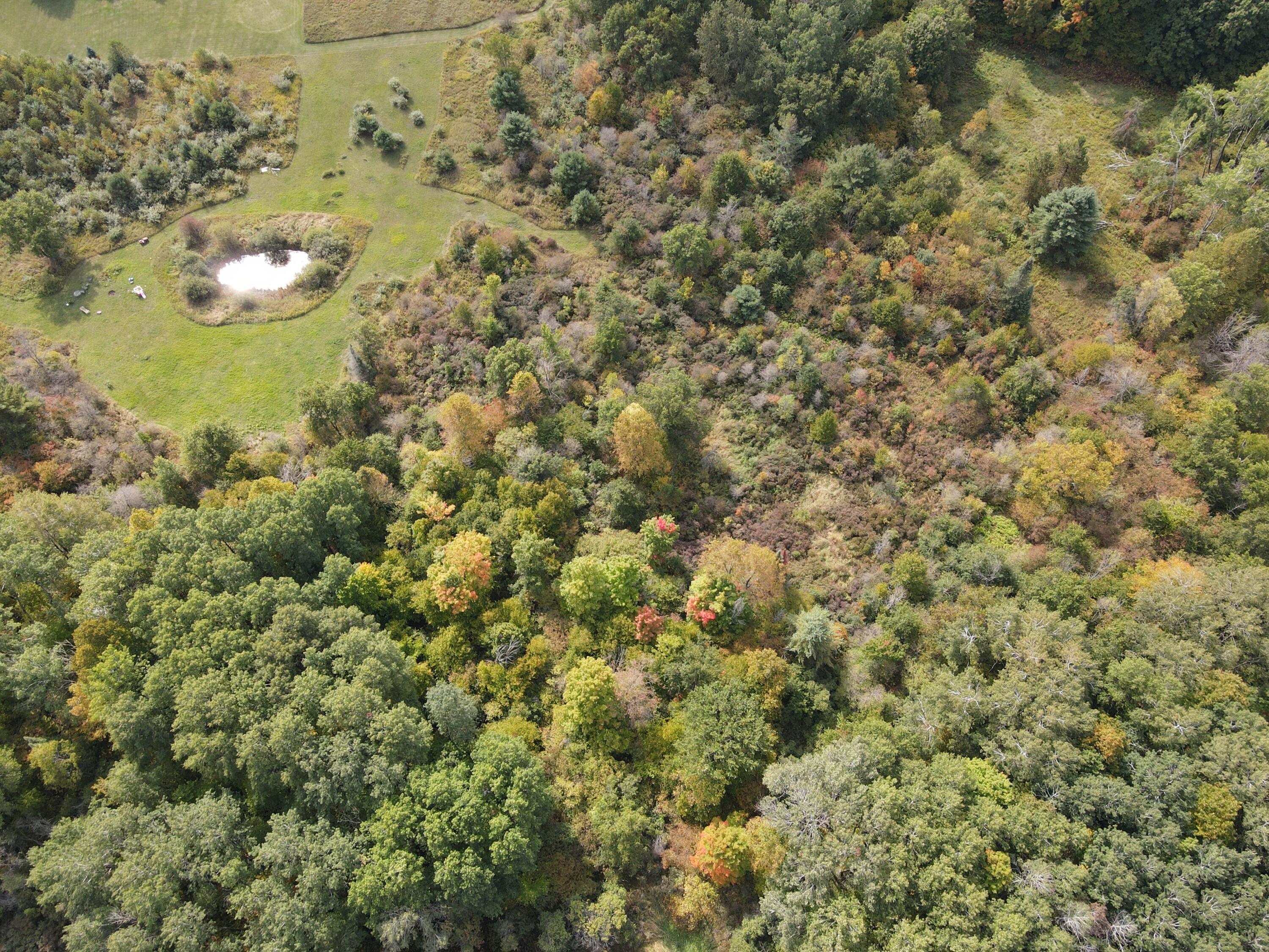 -vl Chase Bridge Road Roscommon, MI 48653 - Photo 10 of 24 DJI_0673