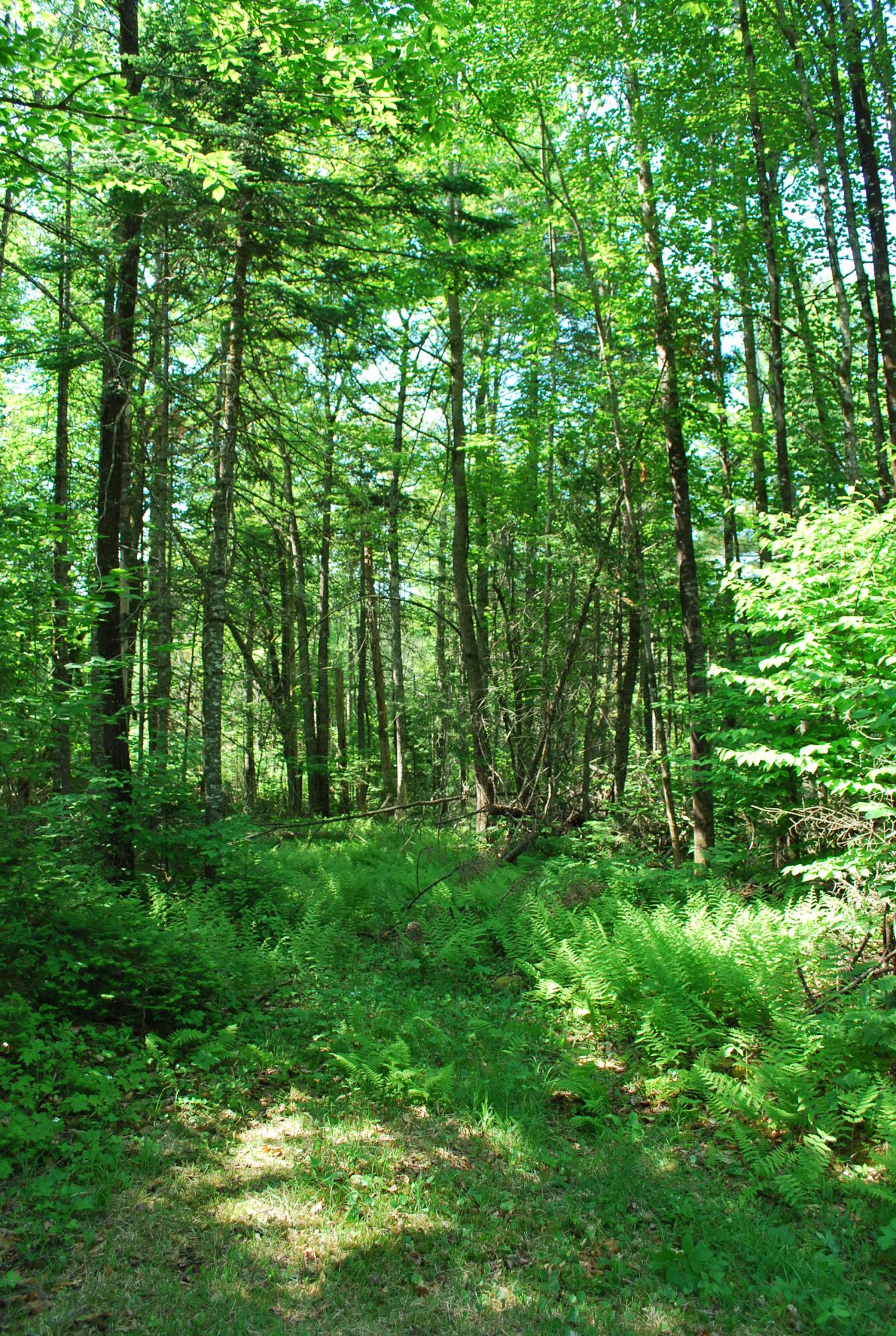 5 Moose Run Road Wellington, ME 04942 - Photo 11 of 17 Kepper & Boyce Listing Pics 012