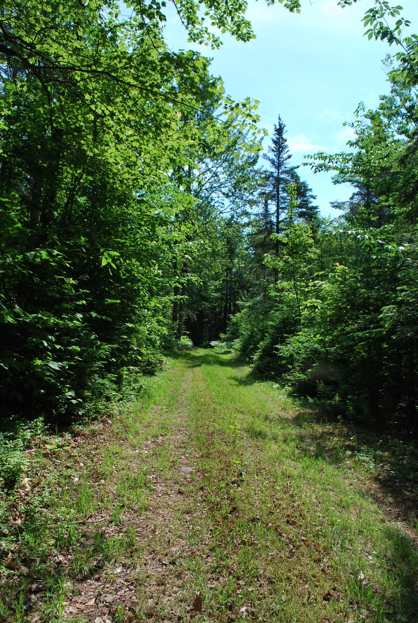 5 Moose Run Road Wellington, ME 04942 - Photo 13 of 17 Kepper & Boyce Listing Pics 014