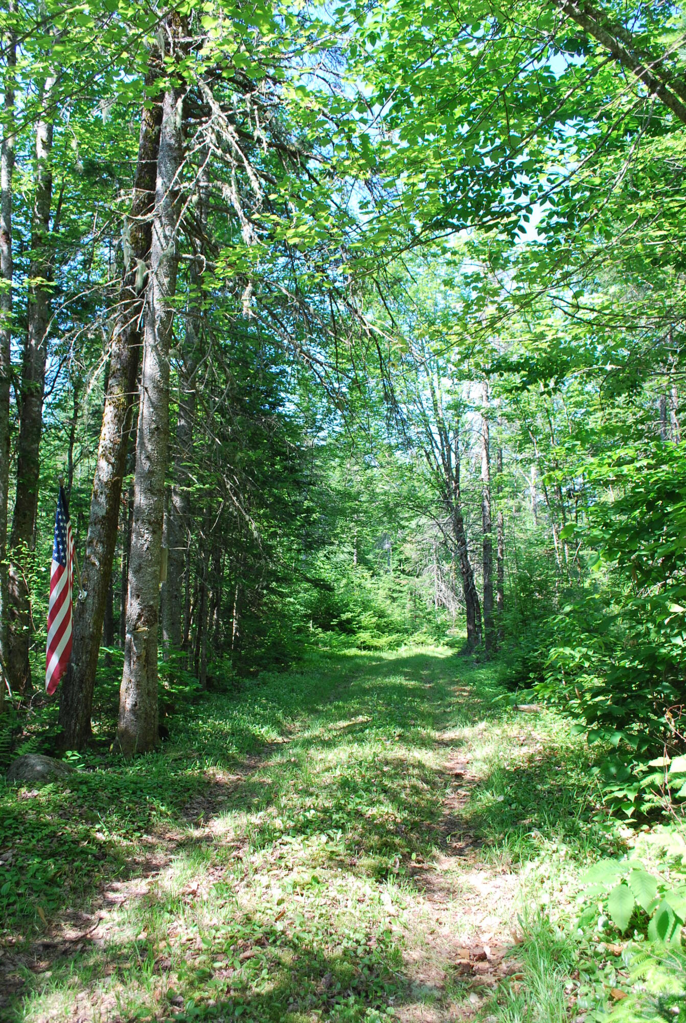 5 Moose Run Road Wellington, ME 04942 - Photo 14 of 17 Kepper & Boyce Listing Pics 015