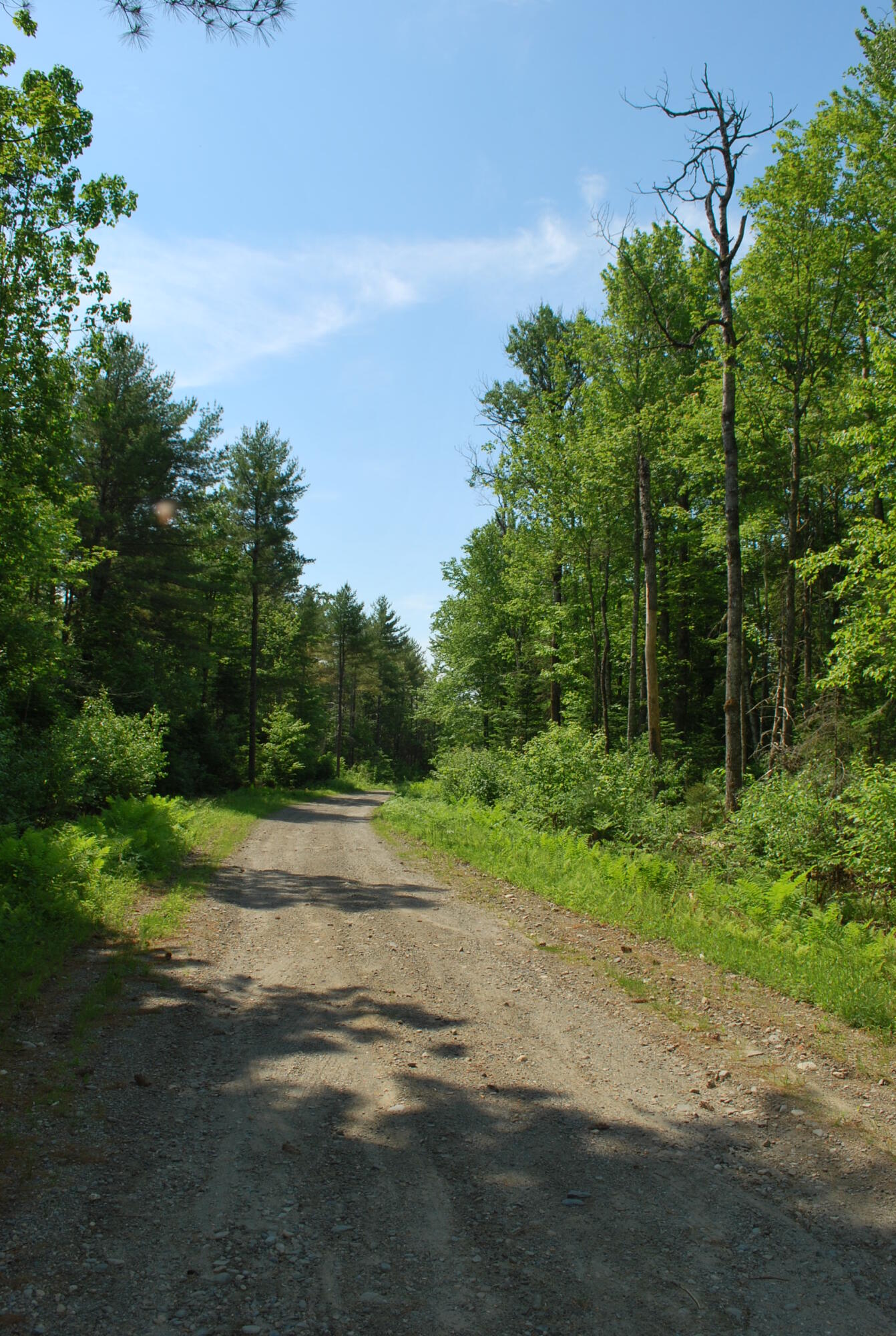 5 Moose Run Road Wellington, ME 04942 - Photo 15 of 17 Kepper & Boyce Listing Pics 016