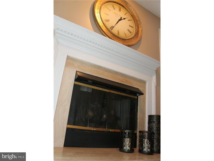 3501 Orchard View Road Reading, PA 19606 - Photo 13 of 14 Fireplace