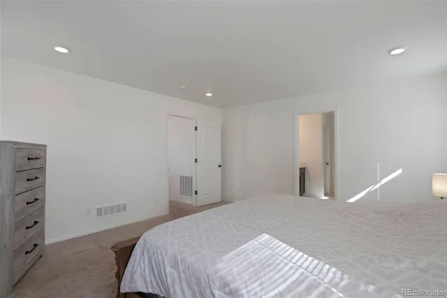 a bedroom with a bed and a closet