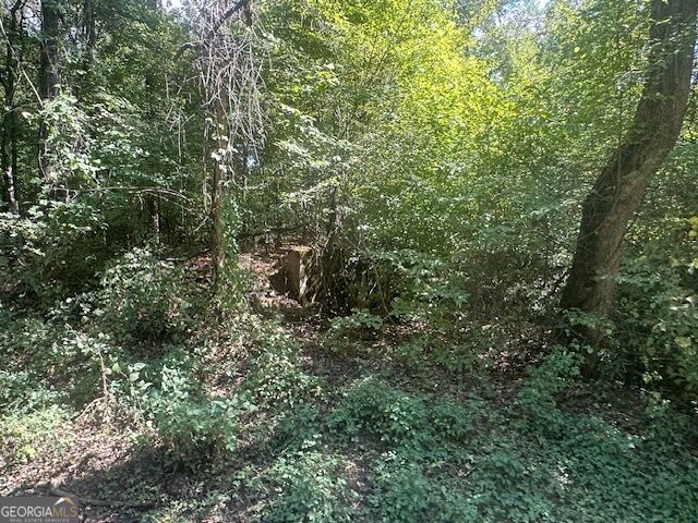 0 Millen Road, Unit TRACT #22 Monticello, GA 31064 - Photo 5 of 10 Gallery Image 5