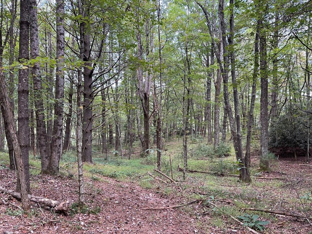 Tbd Ben Ridge Road, Unit 52 Laurel Fork, VA 24352 - Photo 20 of 28 Gallery Image 20