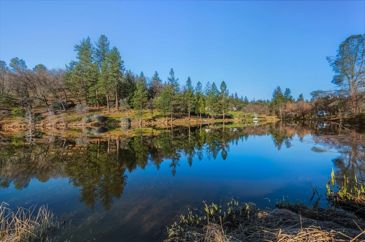 14771 Mt Olive Road Grass Valley, CA 95945 - Photo 85 of 96