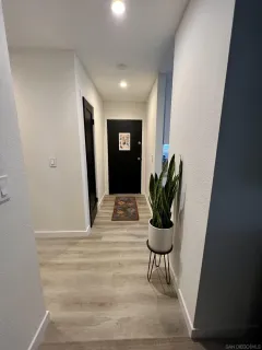 a bathroom with a potted plant