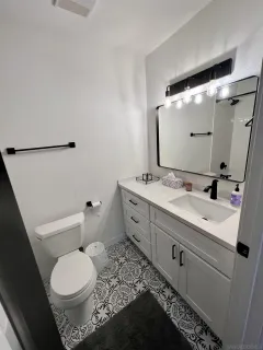 a bathroom with a sink toilet and mirror