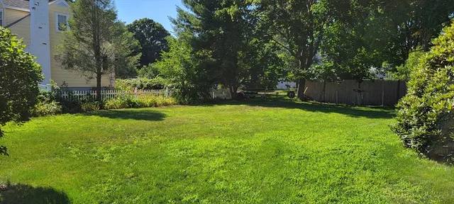 a view of backyard with green space