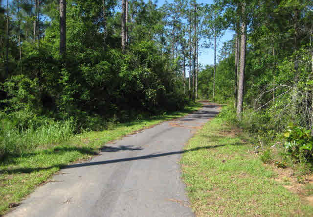 33849 Milo Terrace Daphne, AL 36527 - Photo 33 of 37 Walking trail