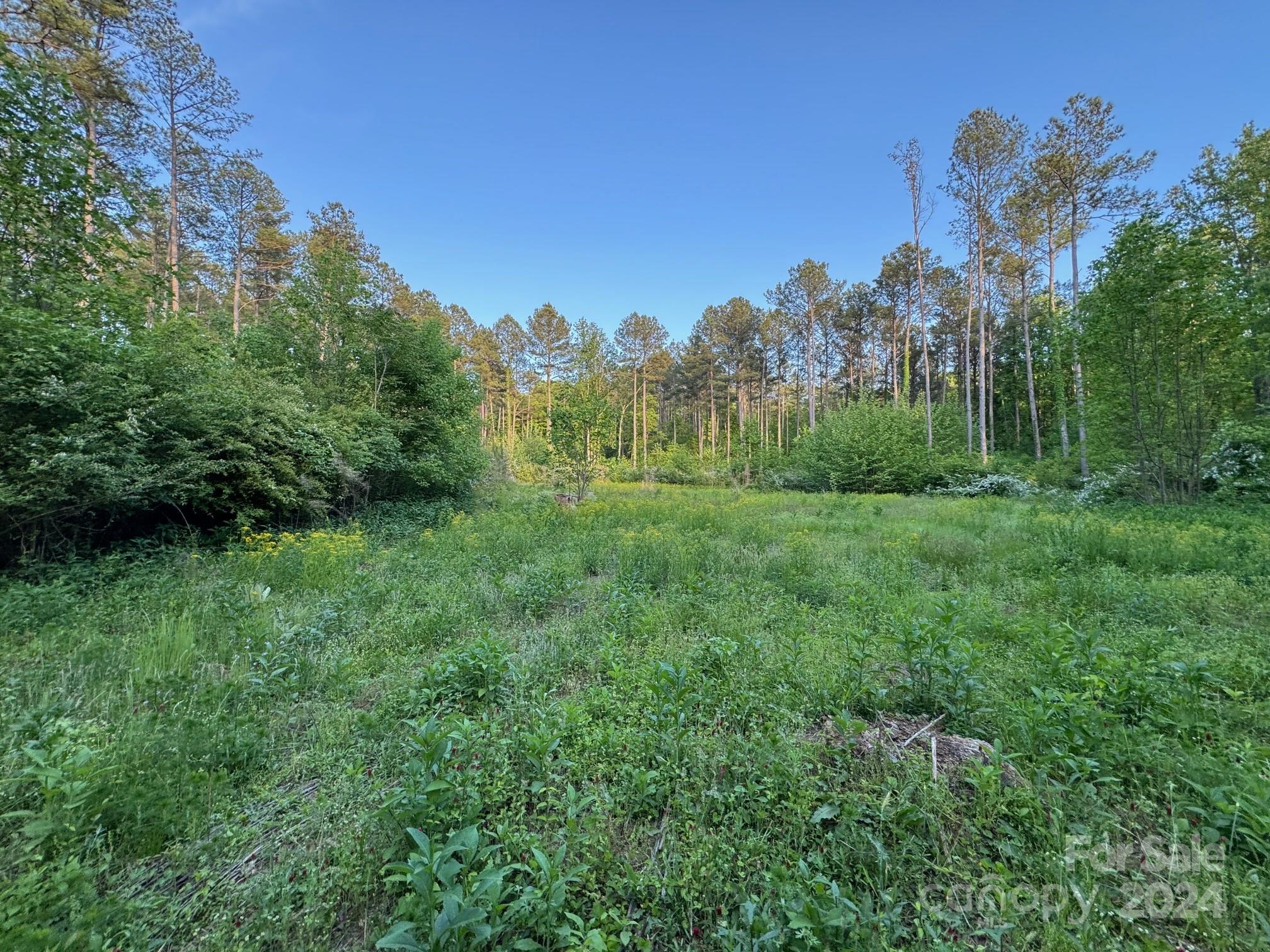 0 State Line Road Mooresboro, NC 28114 - Photo 2 of 7 a view of a grassy field with trees in the background
