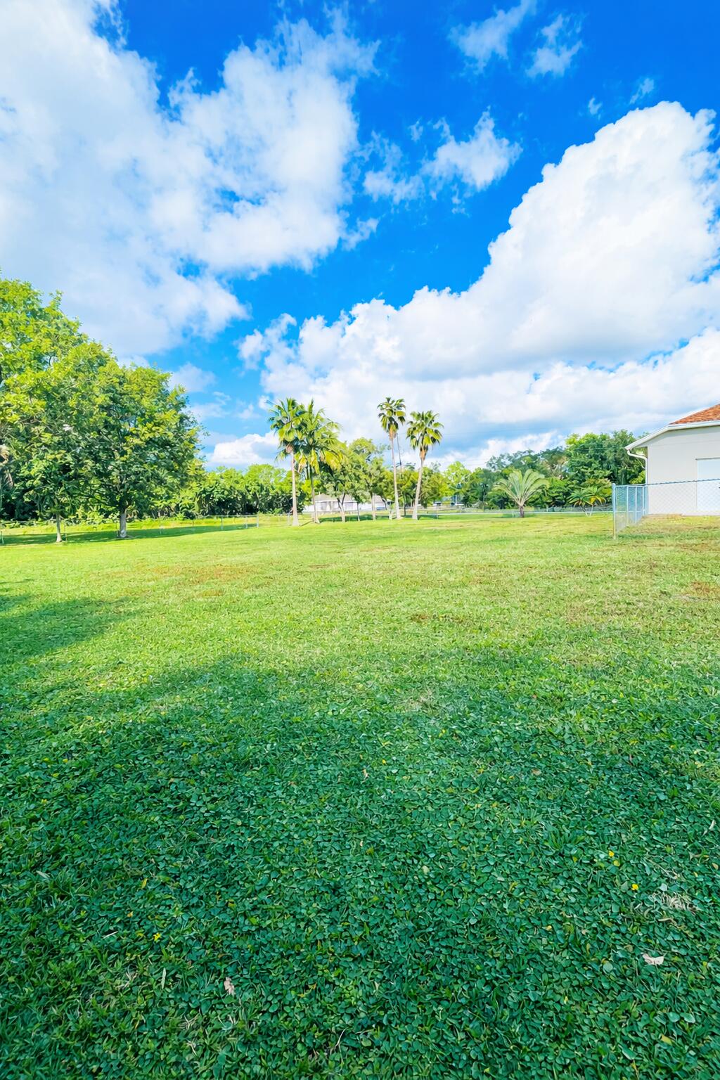 13218 86th Road North West Palm Beach, FL 33412 - Photo 40 of 40 backyard sideview