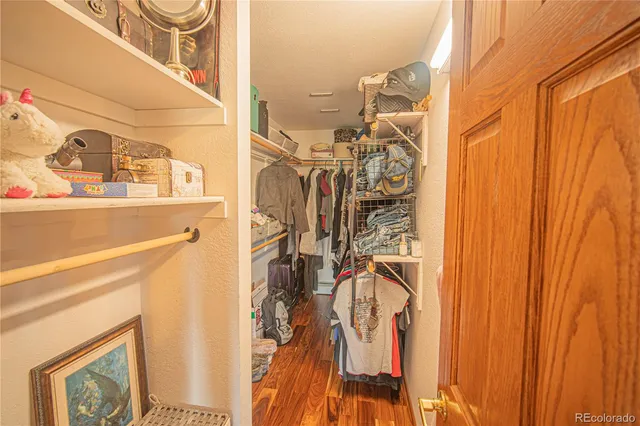 a view of walk in closet with clothes