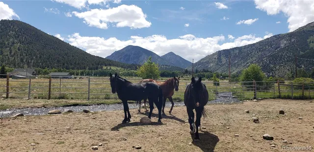 a view of a lake with a yard