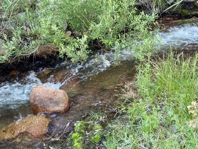 1004 Whitney Trail Road Lone Pine, CA 93545 - Photo 24 of 27 Lone Pine Creek just across the road