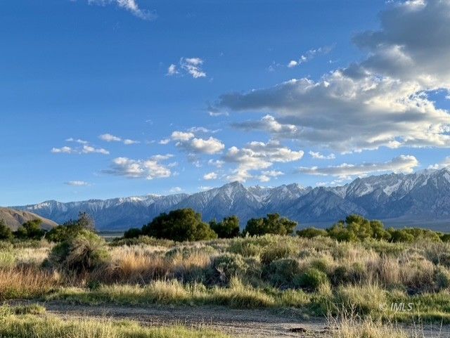 1004 Whitney Trail Road Lone Pine, CA 93545 - Photo 8 of 27 View from Property