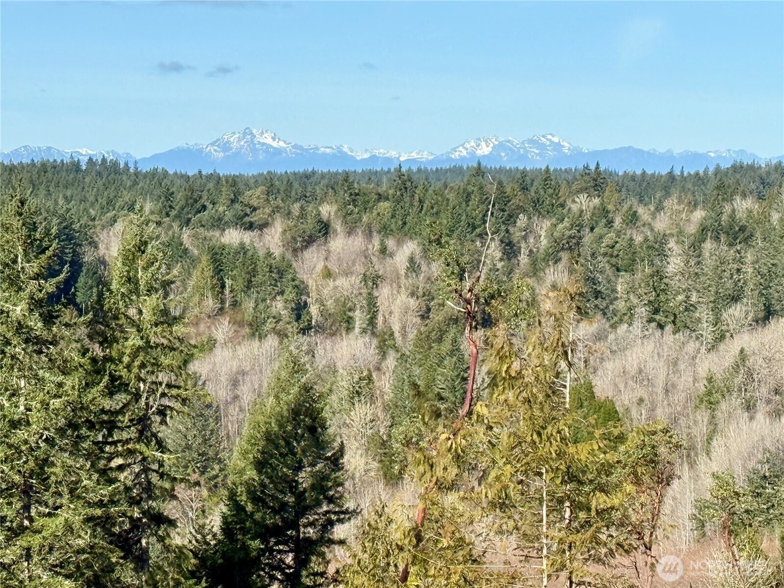 4324 183rd Avenue Southwest Longbranch, WA 98351 - Photo 11 of 33