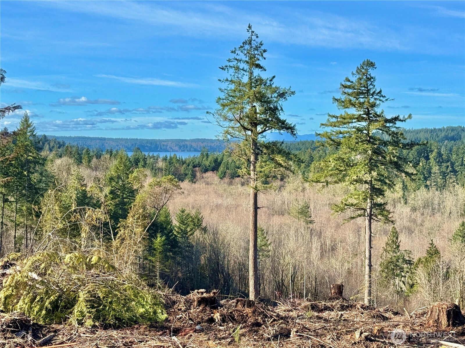 4324 183rd Avenue Southwest Longbranch, WA 98351 - Photo 14 of 33