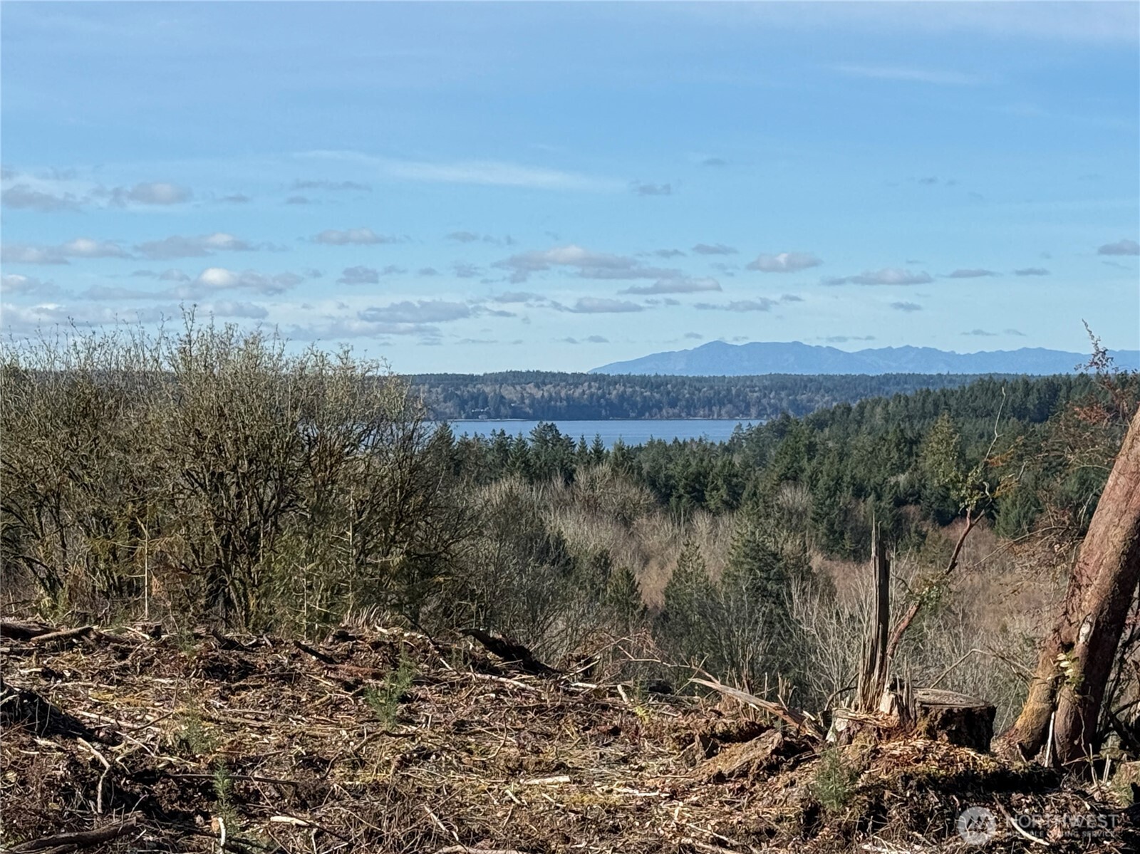 4324 183rd Avenue Southwest Longbranch, WA 98351 - Photo 15 of 33