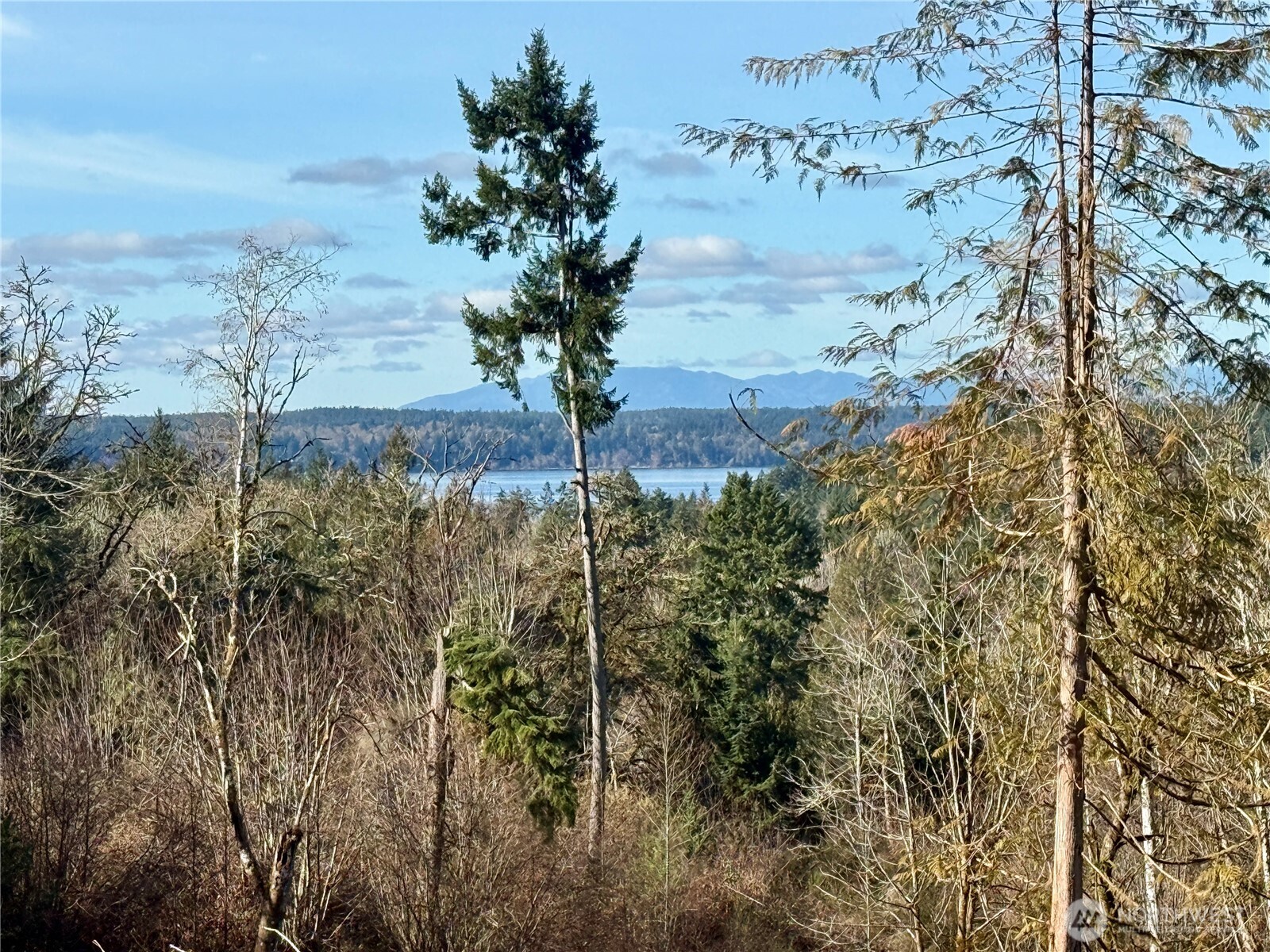 4324 183rd Avenue Southwest Longbranch, WA 98351 - Photo 18 of 33
