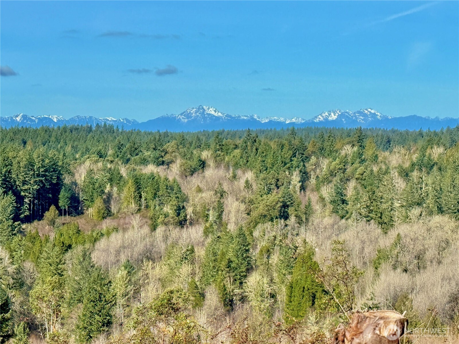 4324 183rd Avenue Southwest Longbranch, WA 98351 - Photo 2 of 33