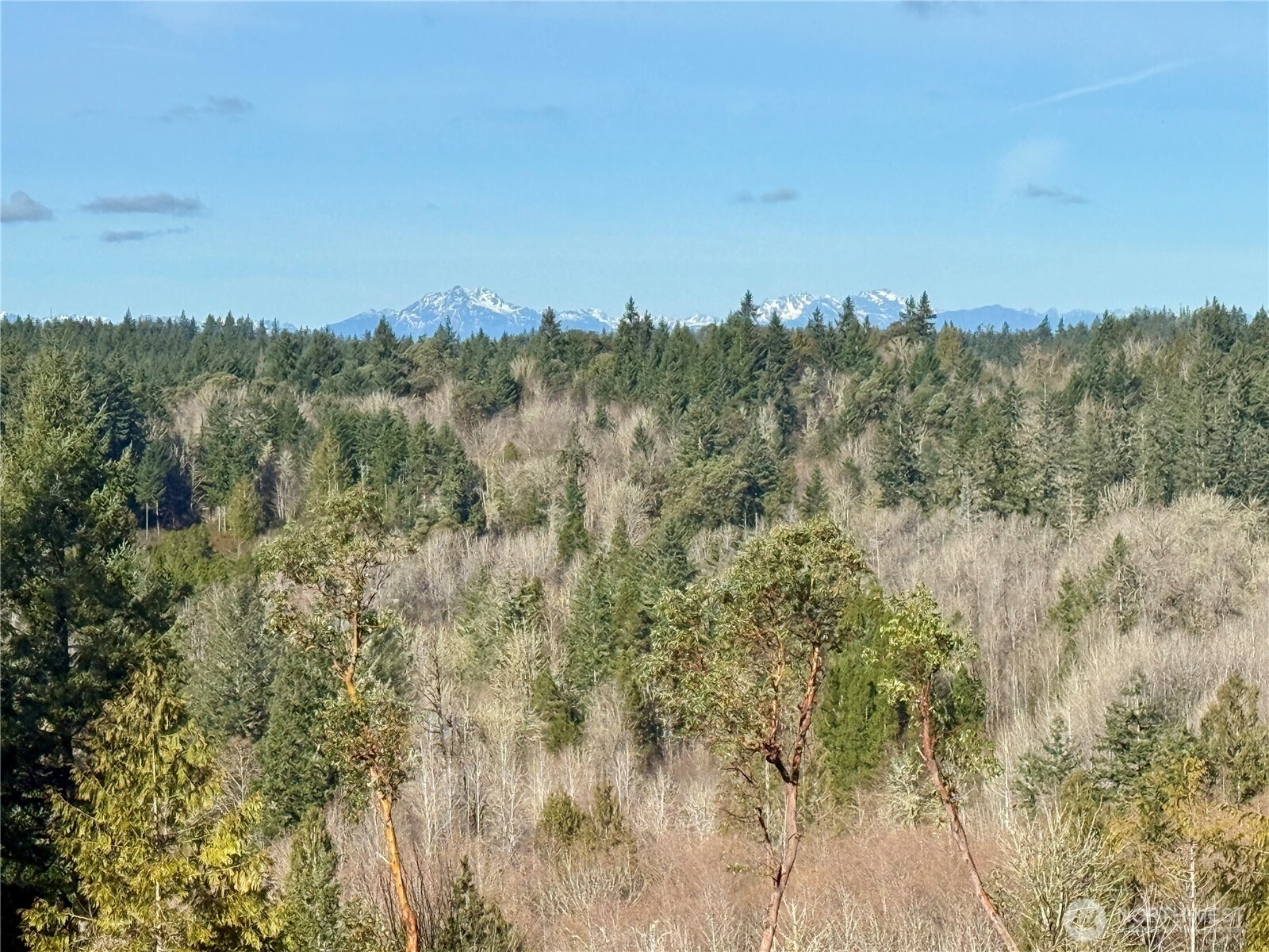 4324 183rd Avenue Southwest Longbranch, WA 98351 - Photo 26 of 33