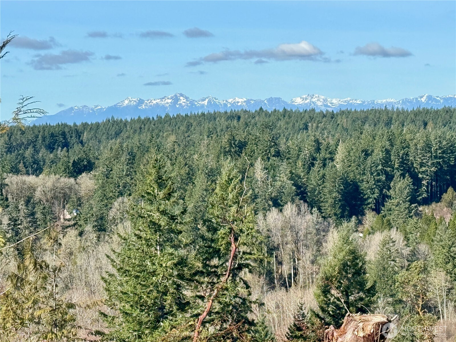4324 183rd Avenue Southwest Longbranch, WA 98351 - Photo 27 of 33