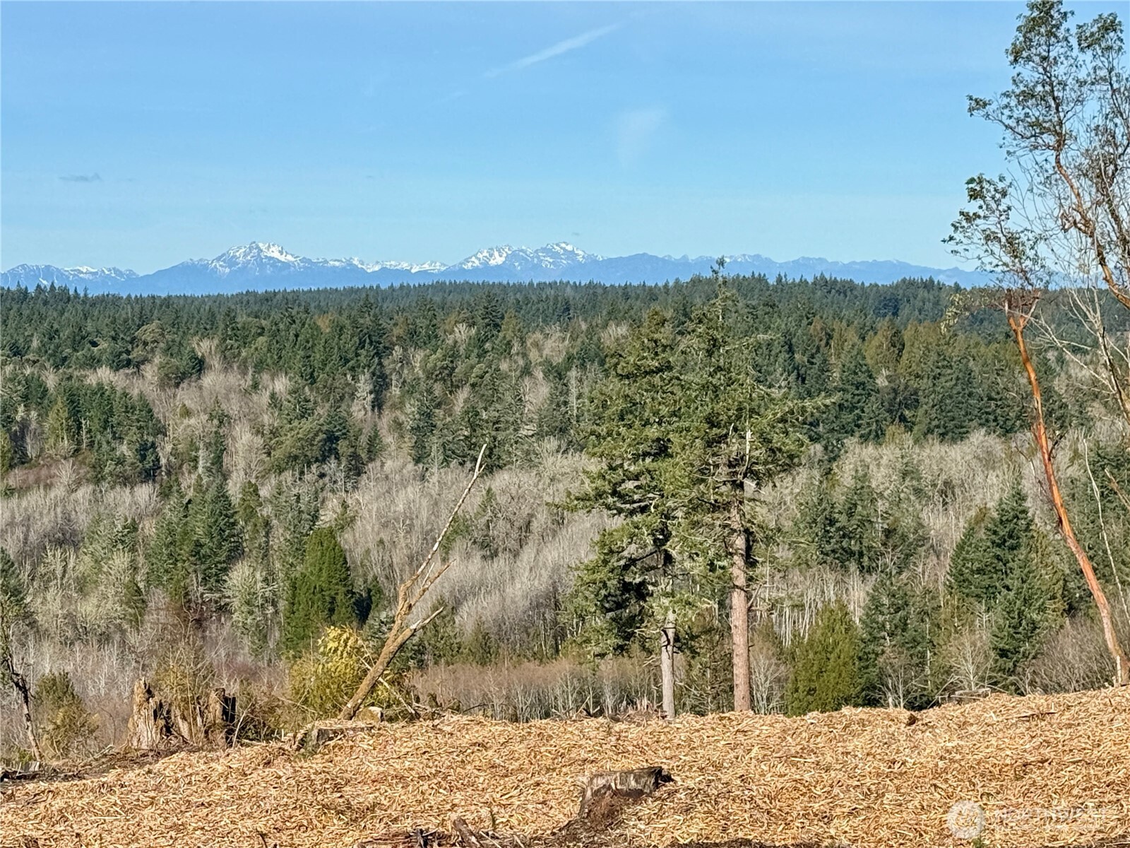4324 183rd Avenue Southwest Longbranch, WA 98351 - Photo 28 of 33