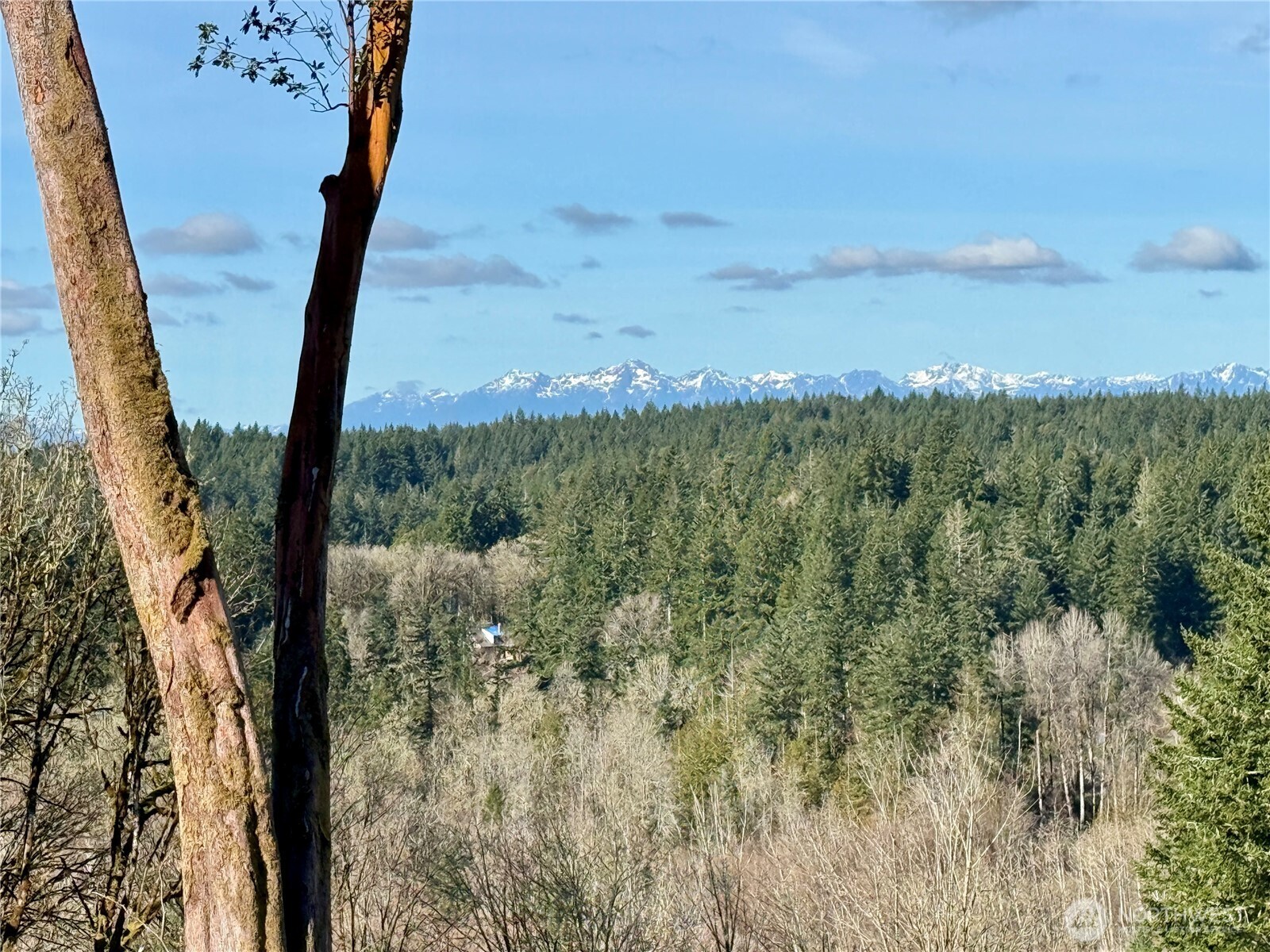 4324 183rd Avenue Southwest Longbranch, WA 98351 - Photo 32 of 33