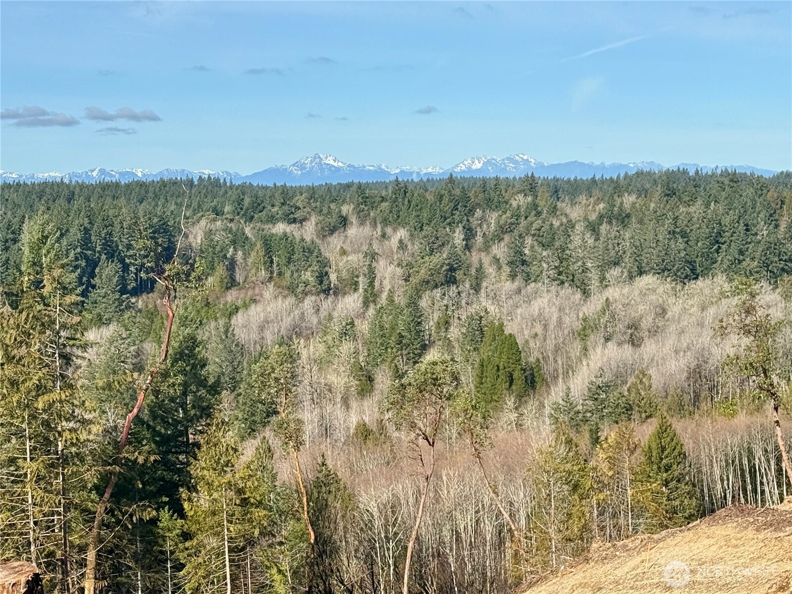 4324 183rd Avenue Southwest Longbranch, WA 98351 - Photo 33 of 33