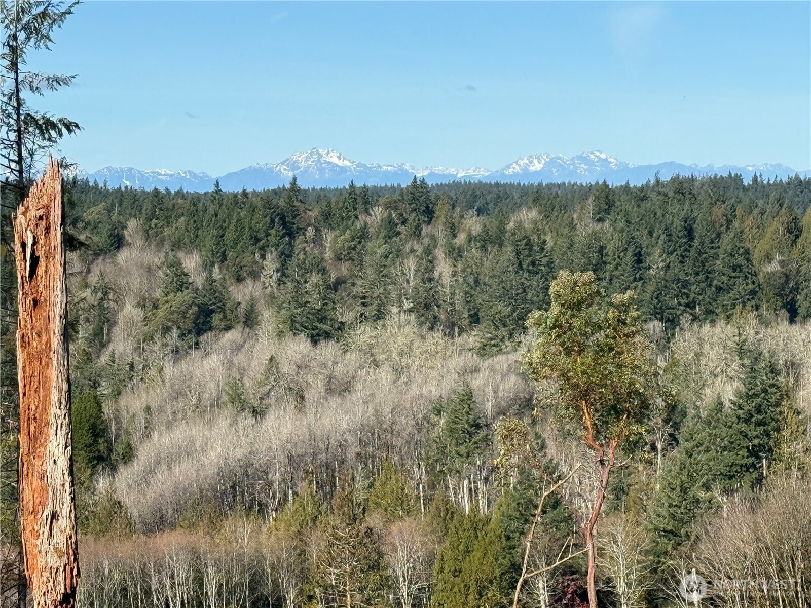 4324 183rd Avenue Southwest Longbranch, WA 98351 - Photo 4 of 33