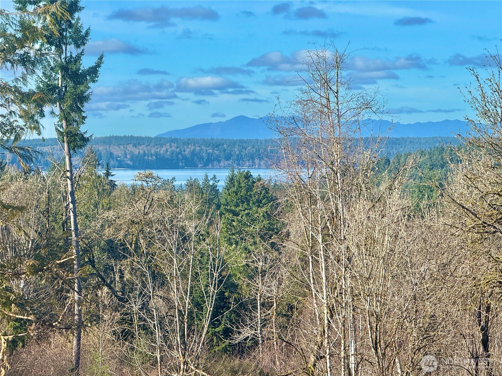 4324 183rd Avenue Southwest Longbranch, WA 98351 - Photo 9 of 33