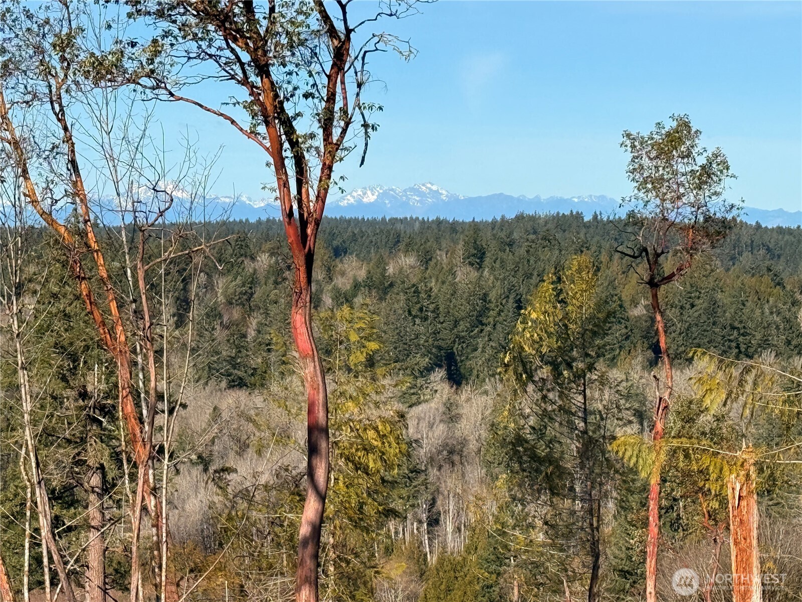 4324 183rd Avenue Southwest Longbranch, WA 98351 - Photo 10 of 33