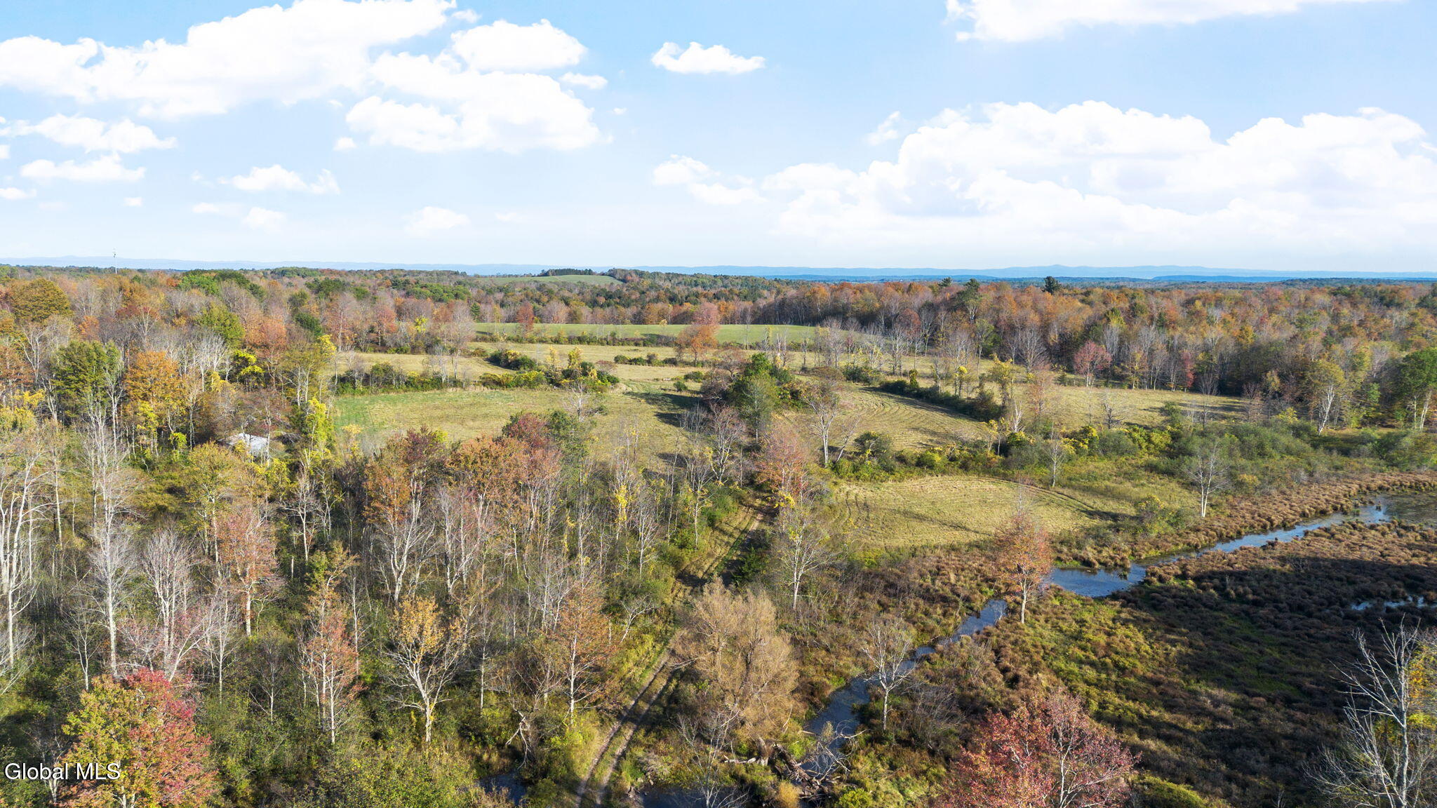 207 Kropp Road Westerlo, NY 12193 - Photo 2 of 15 Photo_4