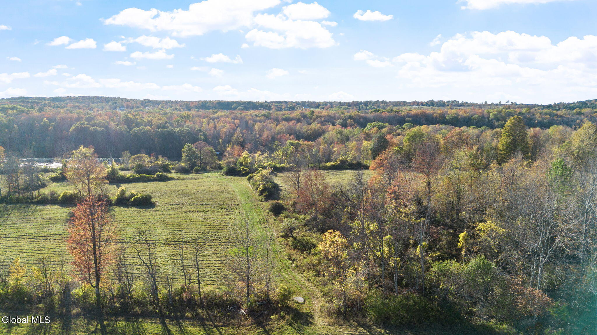 207 Kropp Road Westerlo, NY 12193 - Photo 3 of 15 Photo_13