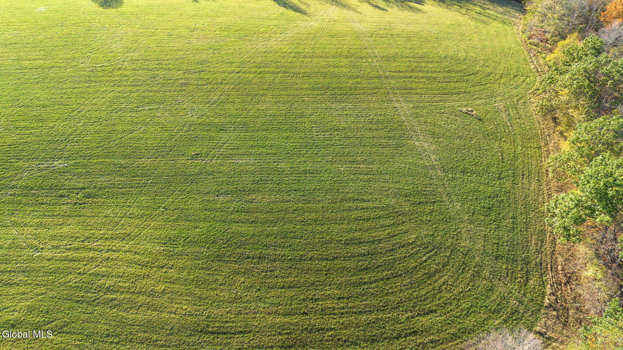 207 Kropp Road Westerlo, NY 12193 - Photo 4 of 15 Photo_20