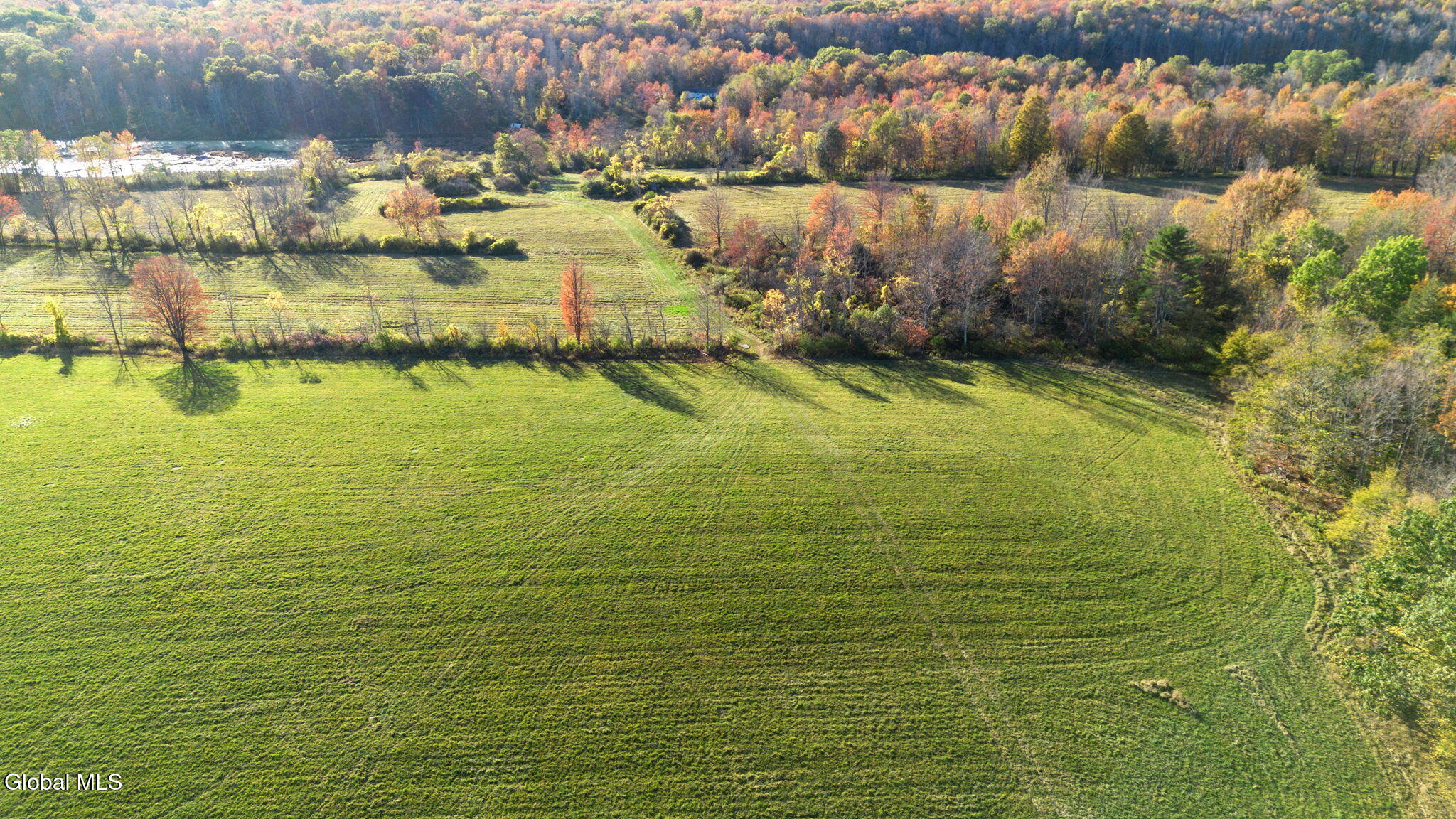 207 Kropp Road Westerlo, NY 12193 - Photo 6 of 15 Photo_19