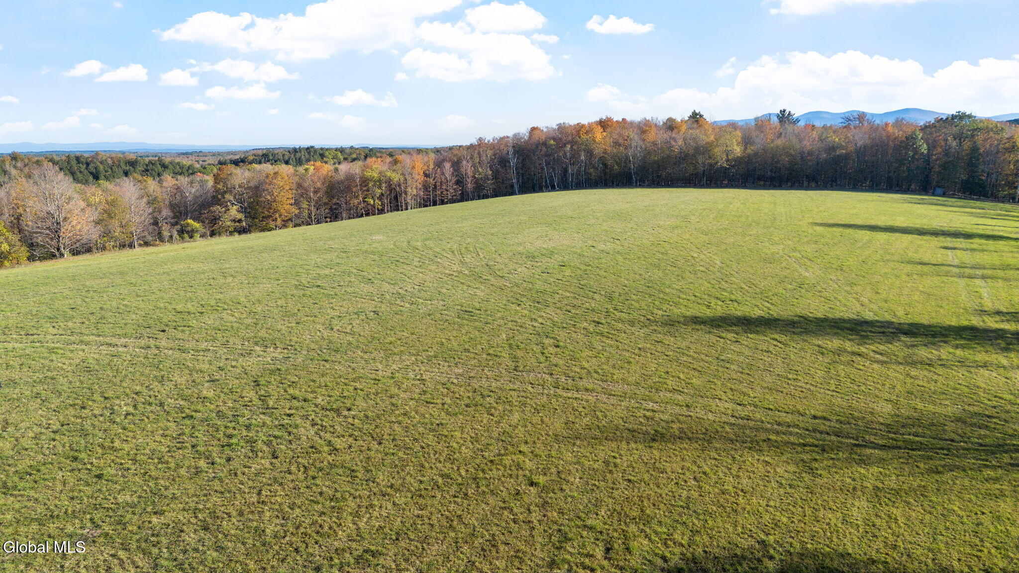 207 Kropp Road Westerlo, NY 12193 - Photo 8 of 15 Photo_23