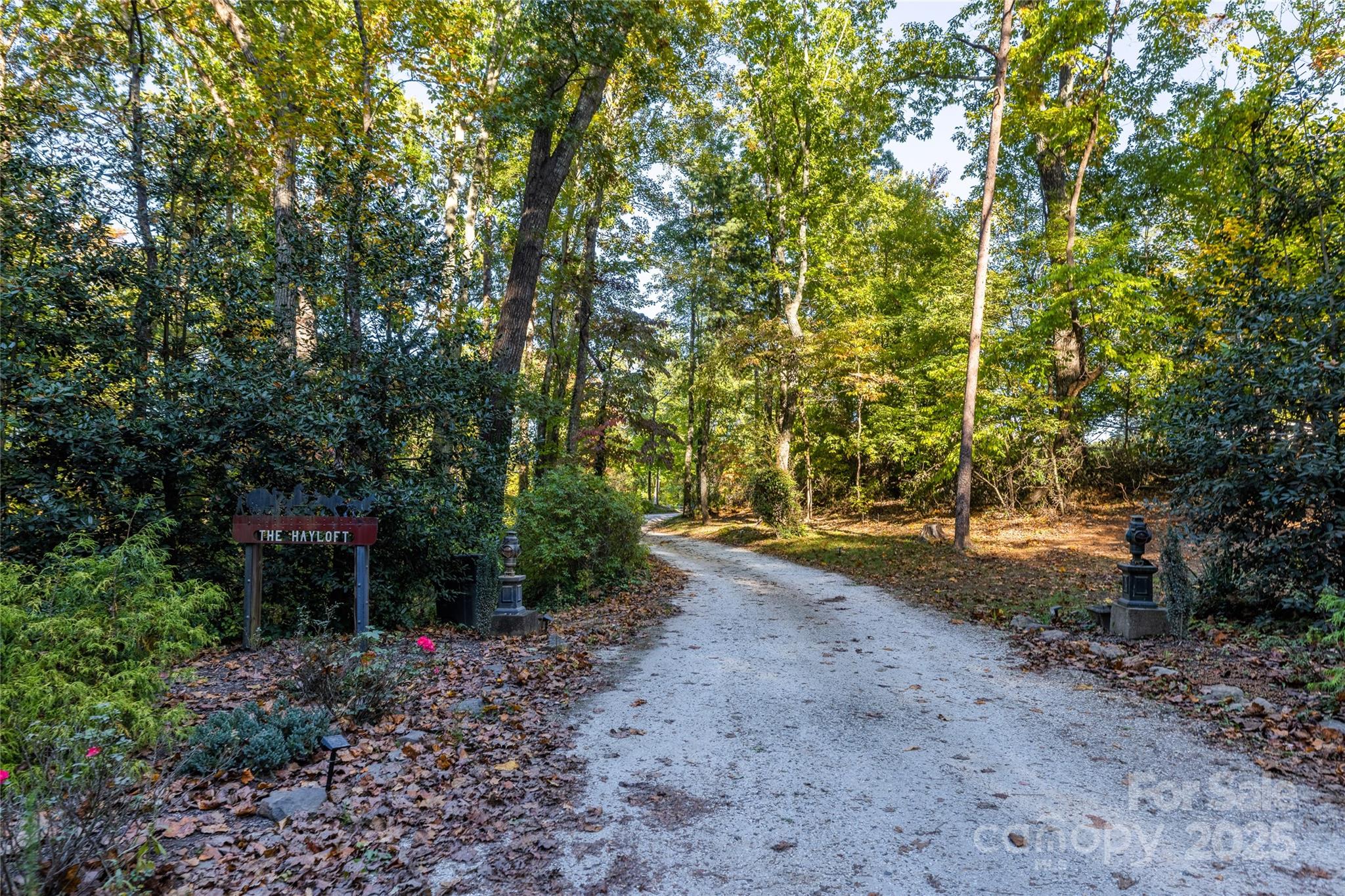 777 South River Road Tryon, NC 28782 - Photo 38 of 47 a view of a yard with plants and trees